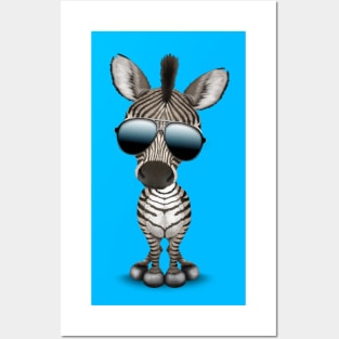 Cute Baby Zebra Wearing Sunglasses Posters and Art